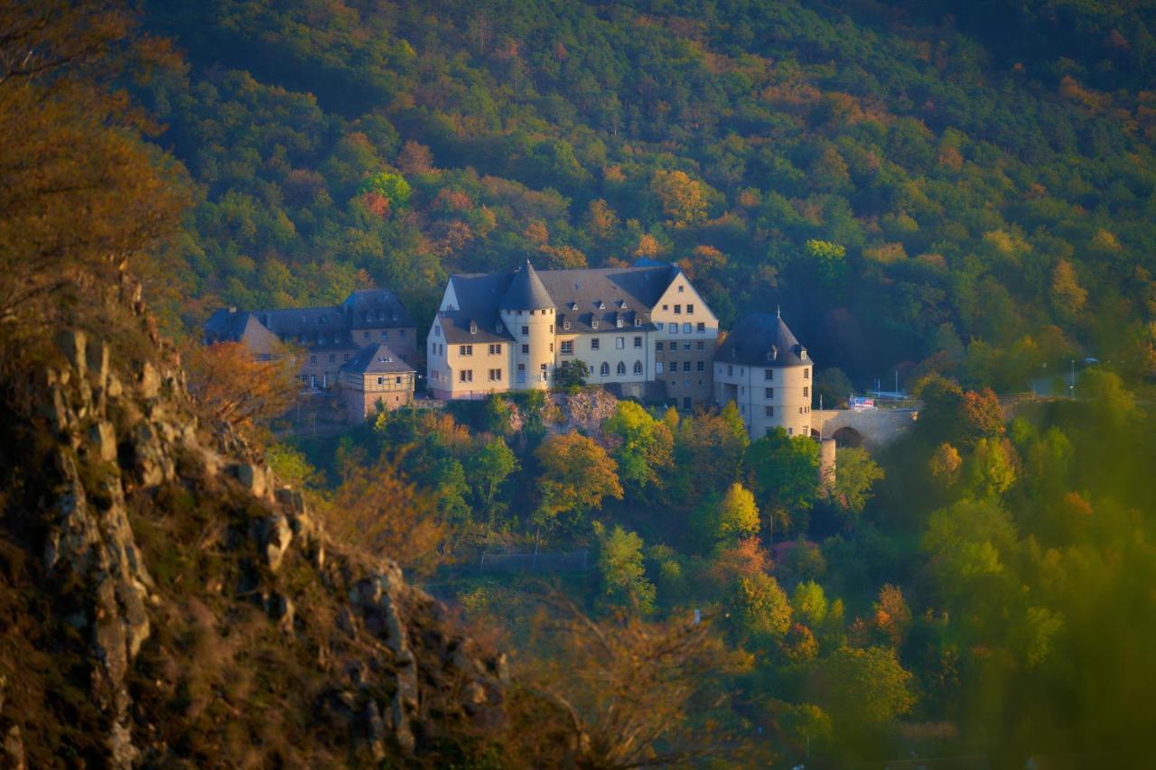 Отель Ev.Familienferien-Und Bildungsstaette Ebernburg Бад-Мюнстер-на-Штайн-Эбернбурге Экстерьер фото